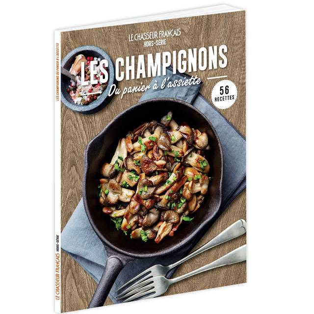 Les champignons, du panier à l’assiette