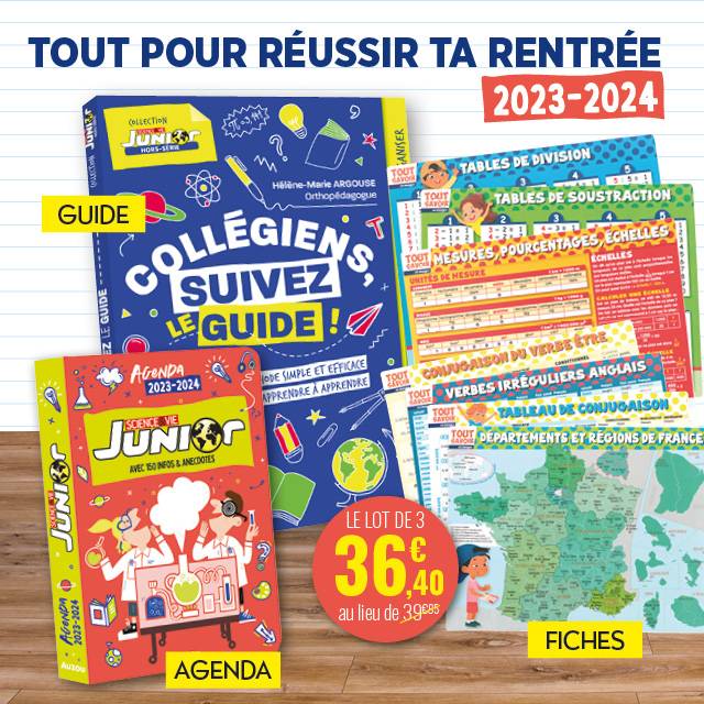 Lot agenda scolaire + guide + 7 fiches scolaires