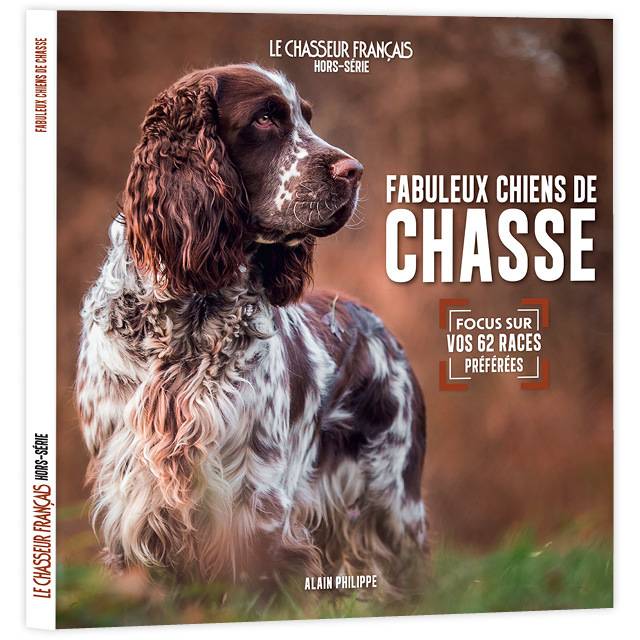 Fabuleux chiens de chasse