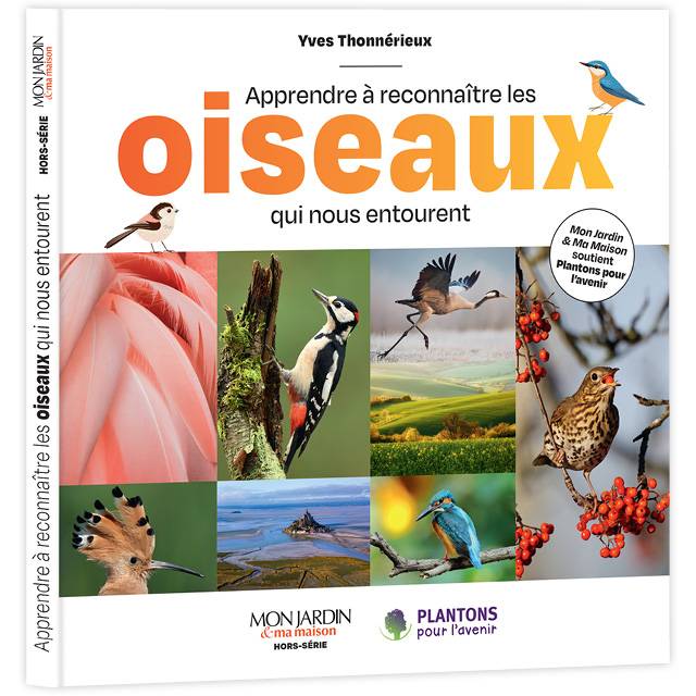 Apprendre à reconnaître les oiseaux qui nous entourent