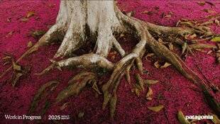 Sport Stratégies 853 LE RAPPORT 2025 DE PATAGONIA : TRANSPARENCE ET ENGAGEMENT CONTINUS