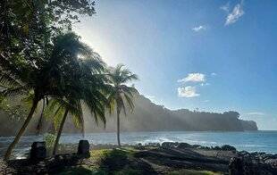 Sport Stratégies 857 LE SURF REPREND LA VAGUE ET REDESSINE L'ATTRACTIVITÉ DU NORD