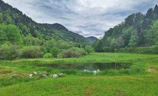 Mission Patrimoine 18 UN MILIEU AQUATIQUE UNIQUE DANS LE HAUT-RHIN