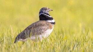 Mission Patrimoine 18 LA DORDOGNE SOIGNE SES FERMES