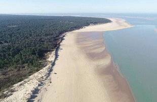 Mission Patrimoine 18 UNE BARRIÈRE CONTRE LE SABLE À LA TREMBLADE