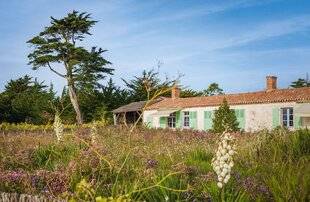 Mission Patrimoine 18 La dernière tanière du Tigre