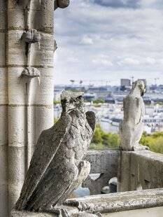 Mission Patrimoine 19 Un tour dans les tours