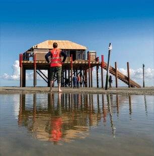 Mission Patrimoine 21 LE GROUPE EN PINCE POUR LES VIEILLES PIERRES
