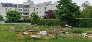 Entre Nous 5 Les jardins partagés : on y cultive des fruits, des légumes… et du lien social !