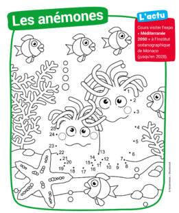 Mon petit Science & Vie avec Nano 46 Les anémones