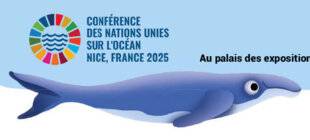Mon petit Science & Vie avec Nano 46 Tous pour l'océan !
