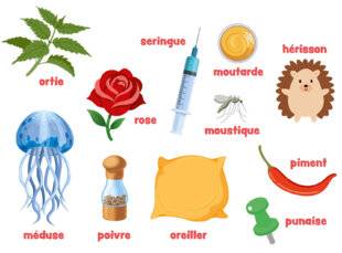 Mon petit Science & Vie avec Nano 47 À toi de jouer !