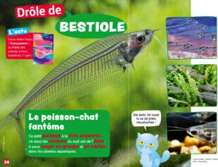 Mon petit Science & Vie avec Nano 47 Le poisson-chat fantôme