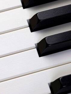 Mon petit Science & Vie avec Nano 47 Les touches d'un piano