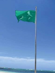 Mon petit Science & Vie avec Nano 48 Un drapeau vert