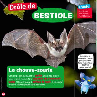 Mon petit Science & Vie avec Nano 51 La chauve-souris