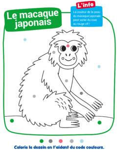 Mon petit Science & Vie avec Nano 53 Le macaque japonais