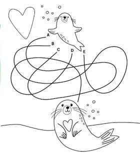 Mon petit Science & Vie avec Nano 54 Bébé phoque !