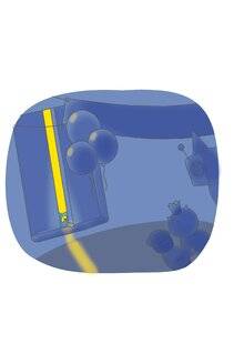 Mon petit Science & Vie avec Nano 55 Joyeux anniversaire, Zaza !