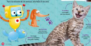Mon petit Science & Vie avec Nano 55 Coucou les chats !