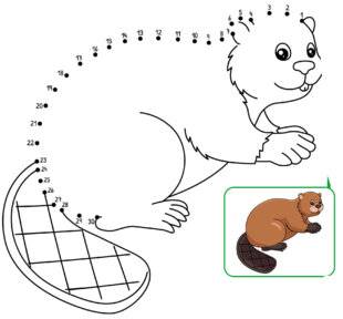 Mon petit Science & Vie avec Nano 56 Dans la rivière