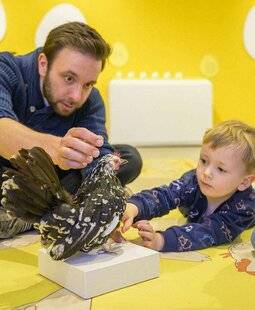 Mon petit Science & Vie avec Nano 57 De l'œuf au poussin