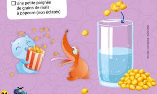 Mon petit Science & Vie avec Nano 57 Fais danser du maïs !