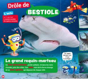 Mon petit Science & Vie avec Nano 58 Le grand requin-marteau