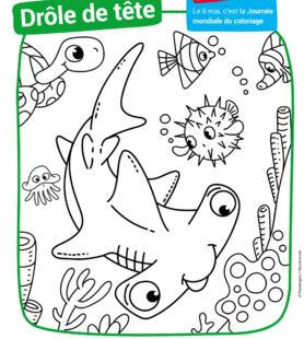 Mon petit Science & Vie avec Nano 58 Drôle de tête