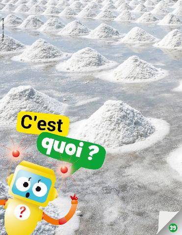 Mon petit Science & Vie avec Nano 62 C’est quoi ?