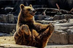 Mon Petit Psychologies 10 C'est l'heure du yoga !