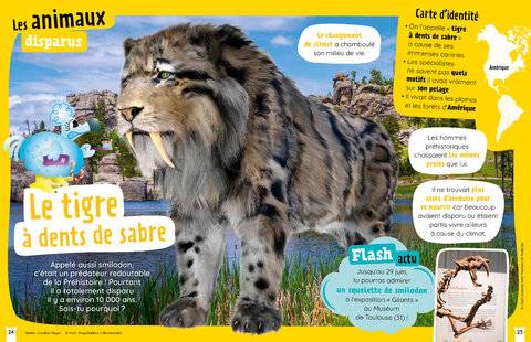 Mon Petit Science & Vie Histoire 10 Le tigre à dents de sabre