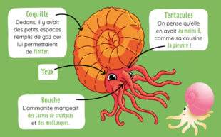 Mon Petit Science & Vie Histoire 9 C’est quoi une ammonite ?