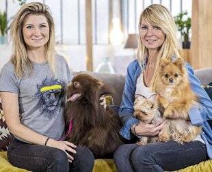 Closer 1040 Les animaux à adopter ont trouvé refuge sur TMC et TF1+