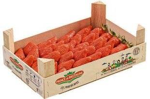 Closer 1041 Je cuisine avec… des fraises gariguette