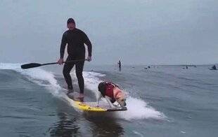 Closer 1053 Toutous surfeurs