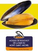Closer 1056 SOUS LA COQUILLE