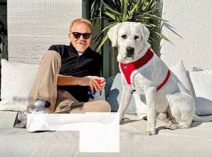 Closer 1063 Labrador, j'adore