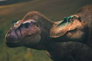 Closer 1063 La caméra 3D remonte le temps pour nous conter le quotidien périlleux des dinos ados