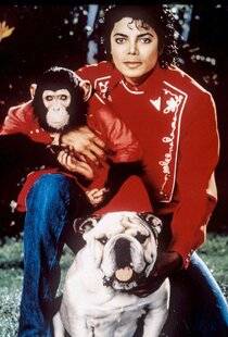 Closer 1076 Michael Jackson Bubbles, l'autre héritier du “King (Kong)” de la pop