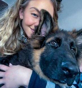 Closer 1084 La réponse du berger (allemand) à la bergère