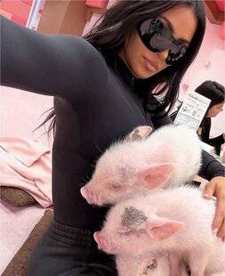 Closer 1086 Cochon qui s'en dédit !