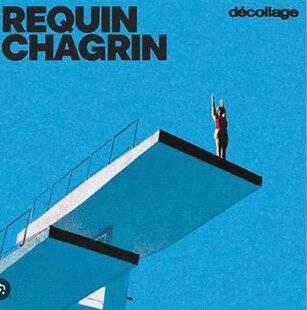 Closer 1088 REQUIN CHAGRIN