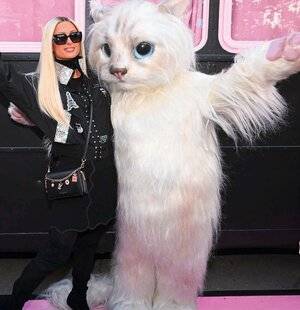 Closer 1089 Un poil matou-vu…