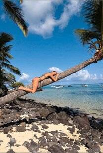 Closer 1093 Coco-oning