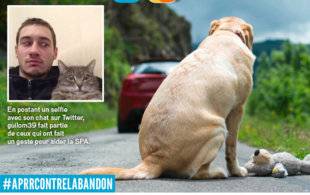 Closer 738 Les réseaux sociaux s’engagent contre l’abandon des animaux