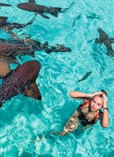 Closer 738 Les dents de l'amer