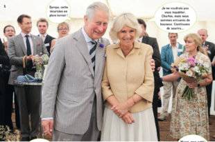 Closer 738 LA MOUE EST DANS LE PRÉ