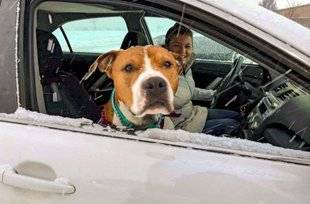 Closer 760 “Des bénévoles se sont relayés sur 3 000 km pour me ramener mon chien volé”