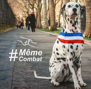 Closer 768 Municipales : Bella Lemaire, la candidate de la SPA qui a du chien